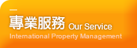 專業服務